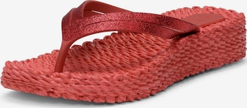 Tongs 'Cheerful13' ILSE JACOBSEN en rouge : devant