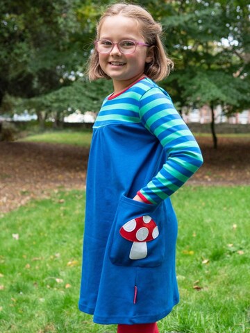 Toby Tiger Dress 'Fliegenpilz-Applikation' in Blue: front