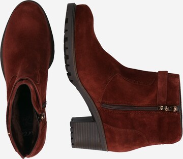ARA Ankle Boots 'MANTOVA' in Brown