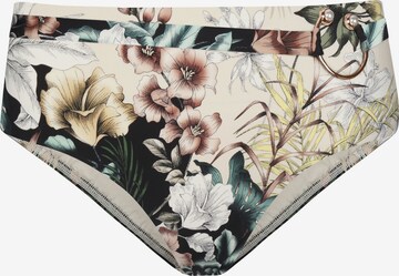 Marc & André Bikini Bottoms 'Flower Touch' in Beige: front