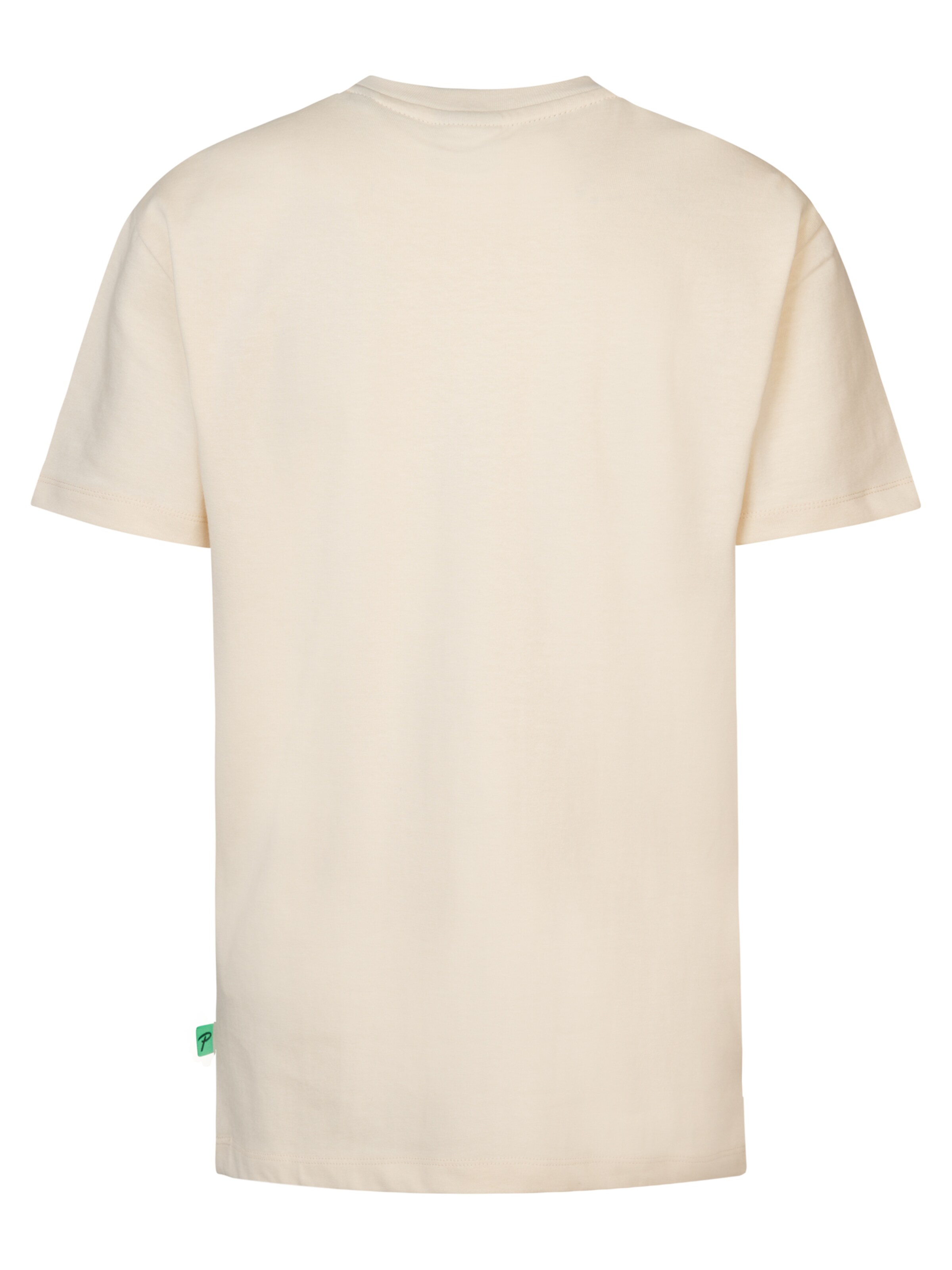 Petrol Industries Shirt 'Alexander' in Beige