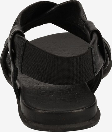 ILC Sandals in Black