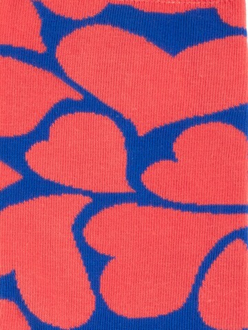 DillySocks Socks 'Beetle Love' in Mixed colours