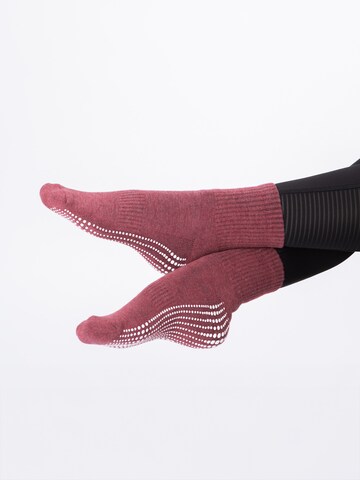 Occulto Athletic Socks 'Madeleine' in Pink