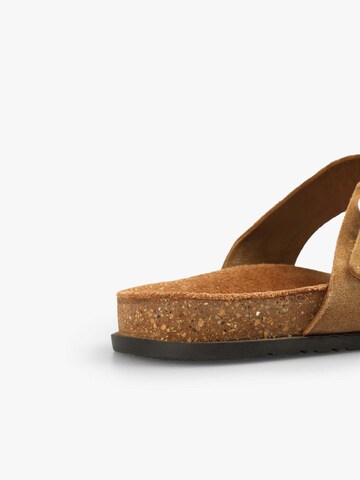 Scalpers Teenslipper 'Bio Sun Studs' in Bruin