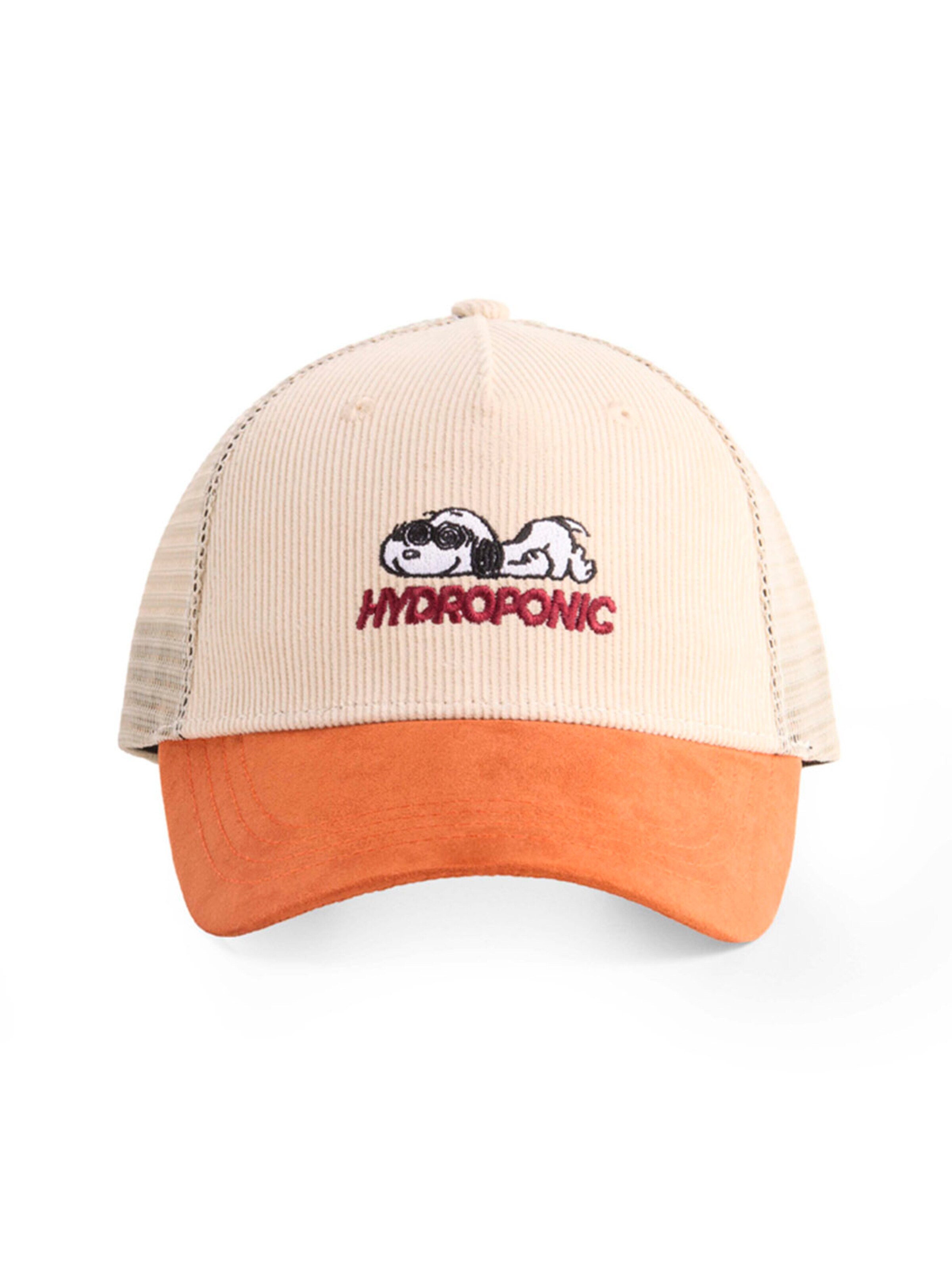 hydroponic - Gorra deportiva 'Hydroponic x Peanuts Obsessed Cap' en beige: frente