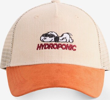 hydroponic - Gorra deportiva 'Hydroponic x Peanuts Obsessed Cap' en beige: frente
