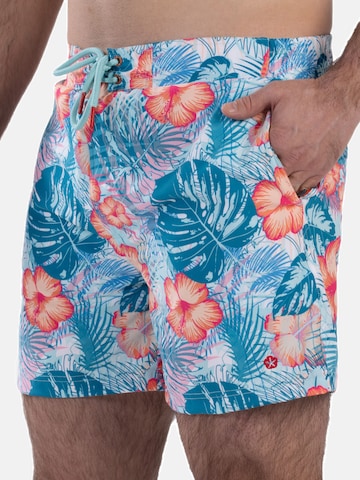 Shorts de bain Frozen Cape en mélange de couleurs