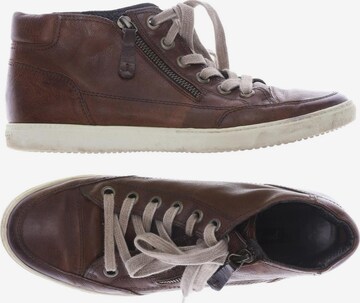 Paul Green Sneakers & Trainers in 39 in Brown: front