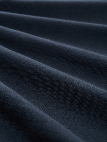 TOM TAILOR Trui in Blauw
