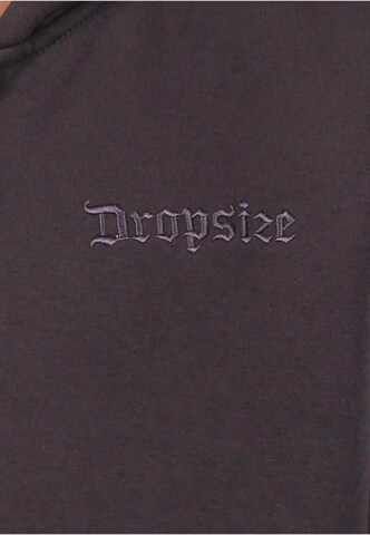 Dropsize Sweatjacke in Braun