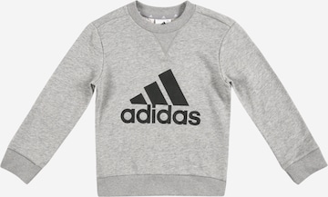 ADIDAS SPORTSWEAR Sport sweatshirt 'Essentials' i grå: framsida