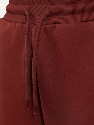 Effilé Pantalon Smilodox en marron