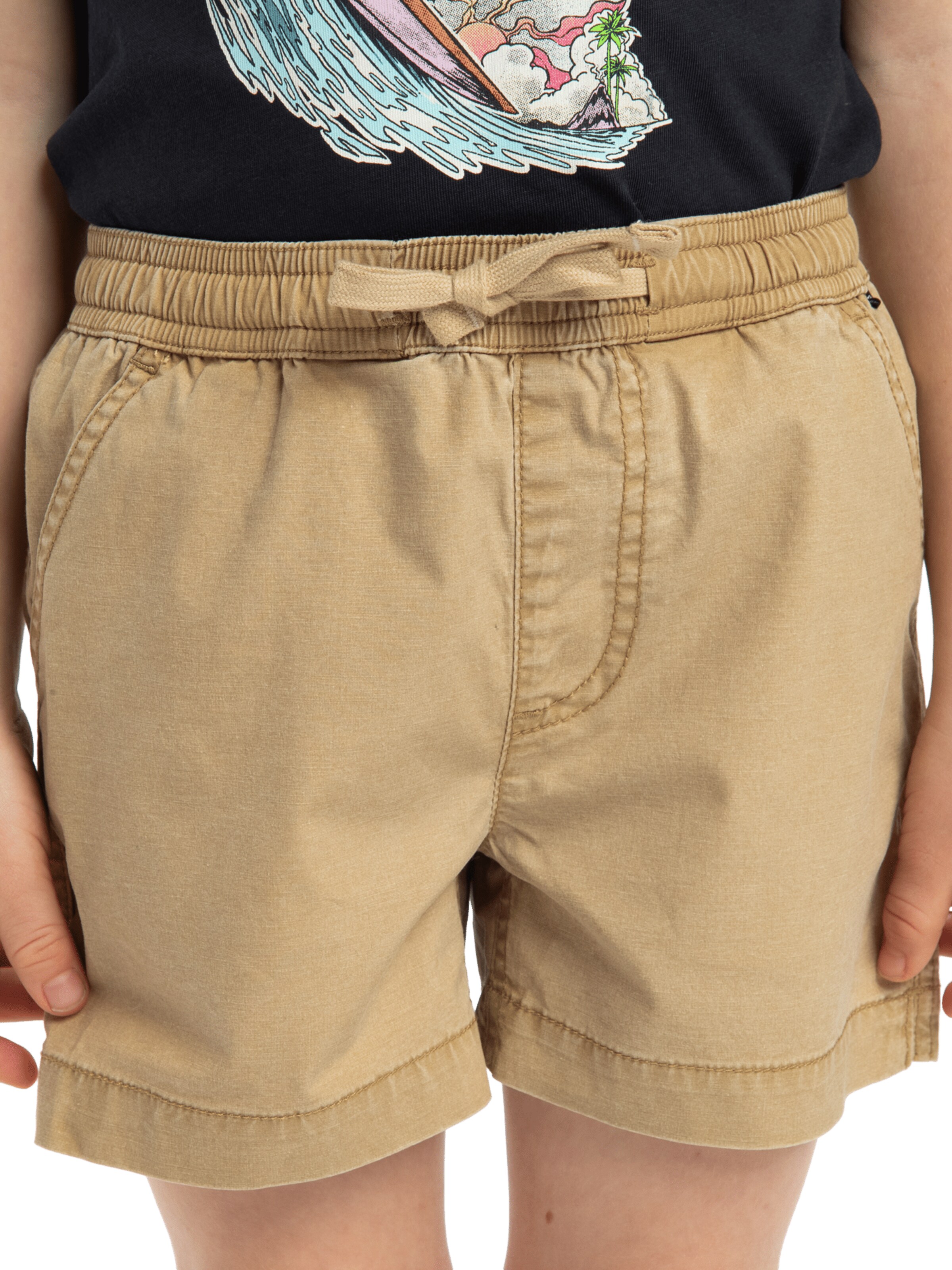QUIKSILVER Regular Pants 'Taxer' in Green