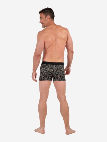 Boxers ' Boxer Briefs Red Rock ' HOM en mélange de couleurs