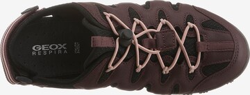 GEOX Hiking Sandals 'Strel B' in Red