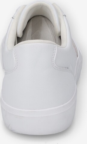 CAMEL ACTIVE Sneakers in White