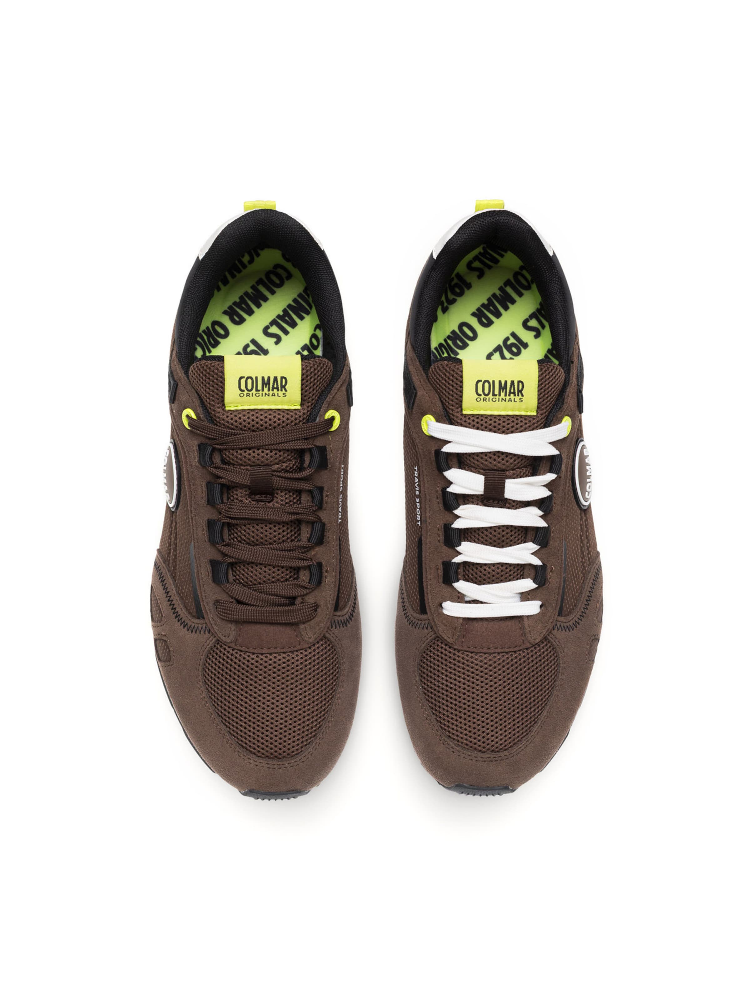 Baskets basses 'Travis Sport Bold' Colmar en marron : au dessus