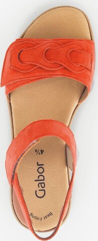 GABOR Sandals in Orange