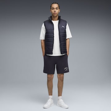 PUMA Regular Trousers in Blue