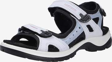 ECCO Wandelsandalen 'OFFROAD' in Wit: voorkant