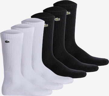 Chaussettes LACOSTE en noir : devant