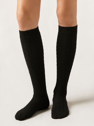 CALZEDONIA Socken in Schwarz: Vorderseite