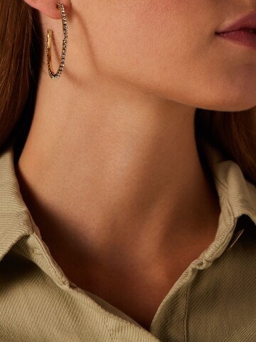Boucles d'oreilles Lucardi en or