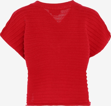 Jalene Sweater in Red
