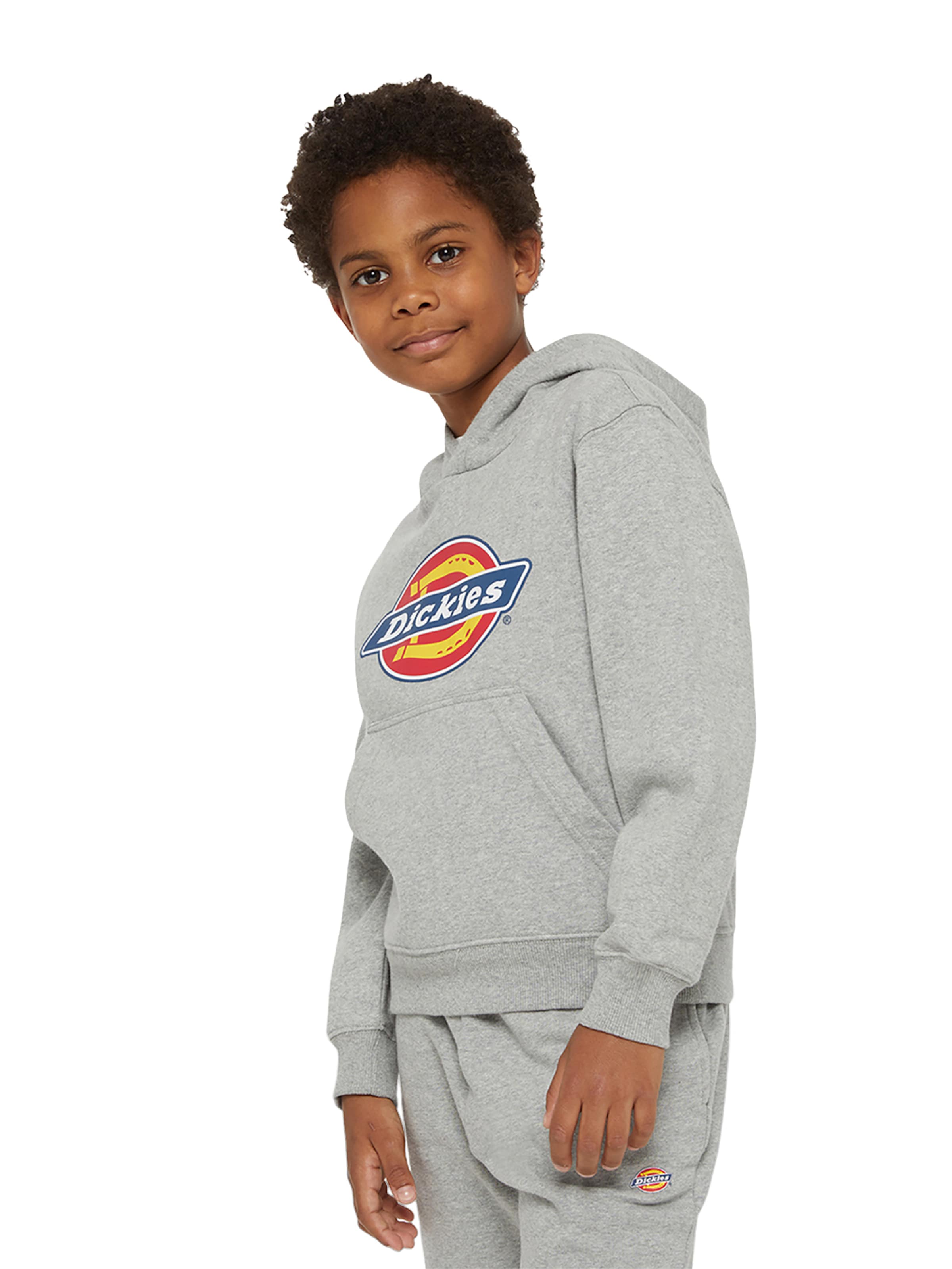 DICKIES Sweatshirt i grå