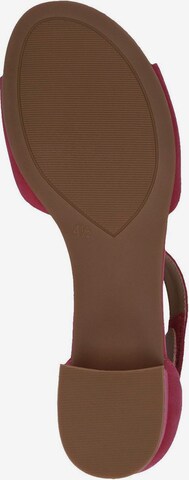 CAPRICE Sandals in Pink