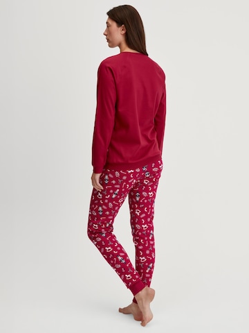 CALIDA Pajama 'Family & Friends' in Red