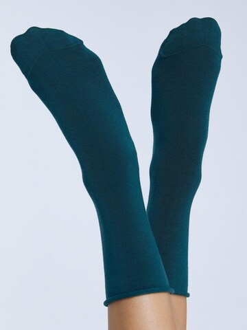 Albero Natur Socks 'Bio-Baumwoll-Socken mit Rollrand Unisex – 6er Pack' in Green