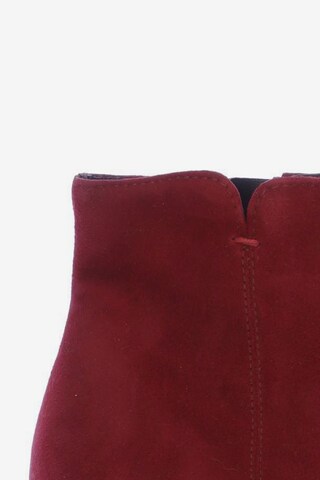 Paul Green Dress Boots in 36 in Red