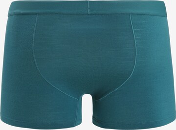 ICEBREAKER Boxer shorts in Green