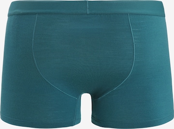 ICEBREAKER Boxer shorts in Green