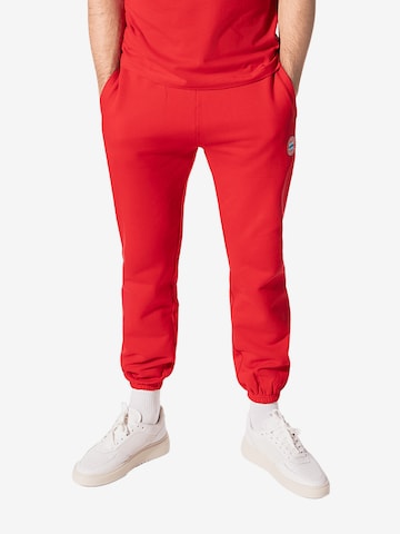 FC BAYERN MÜNCHEN Regular Workout Pants 'Essentials' in Red: front