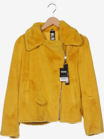 FREAKY NATION Jacket & Coat in S in Yellow: front