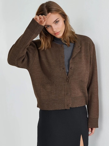 Hiccup Strickjacke 'Strickjacken'‌ in Braun: Vorderseite