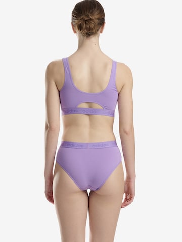 Bustier Soutien-gorge de sport ' CROP BRA ' ADIDAS SPORTSWEAR en violet