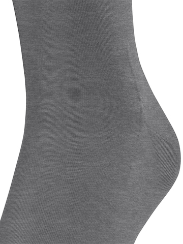 FALKE Knee High Socks 'ClimaWool' in Grey