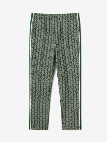 LACOSTE Regular Pants in Green