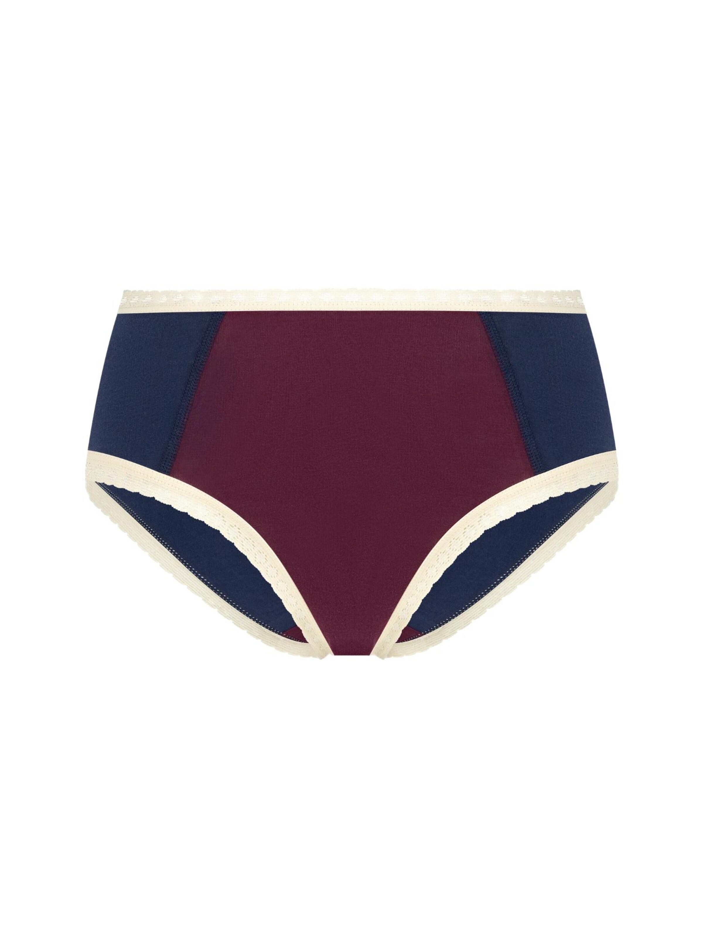 Albero Natur Slip 'Damen Bio-Baumwoll Hipster mit Spitze'‌‌‌‌ in Blau: Vorderseite