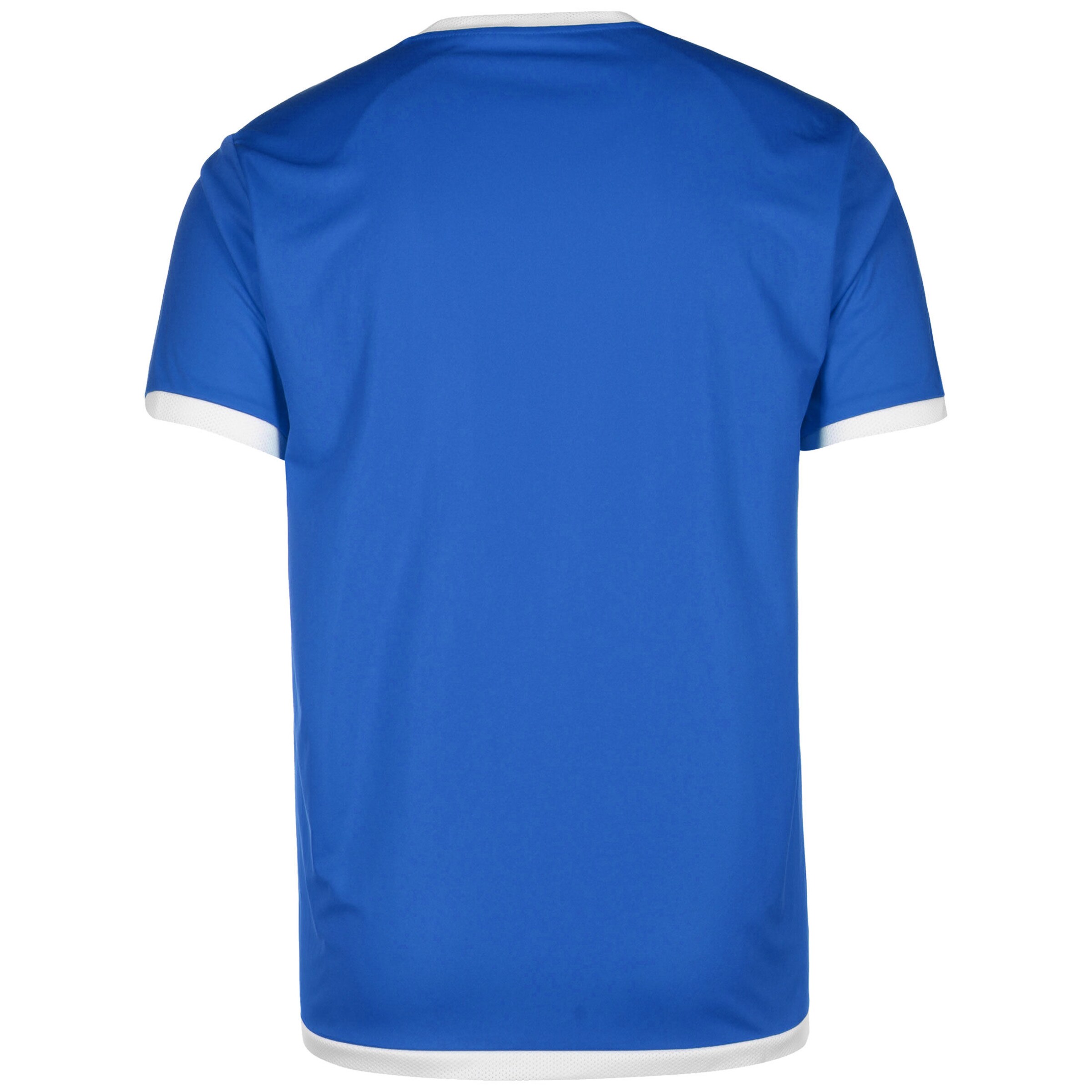 PUMA Trikot 'TeamLiga' in Blau