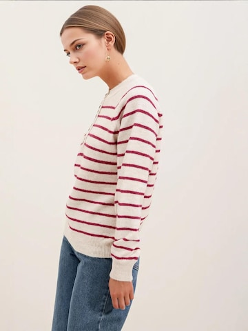 Bigdart Trui in Roze