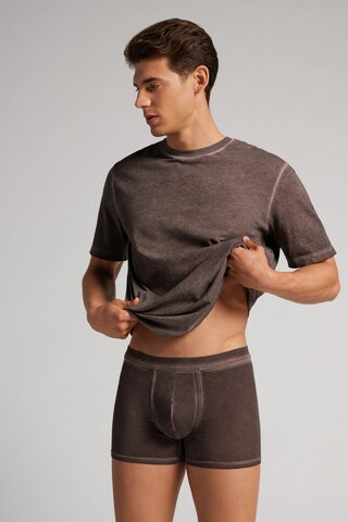 INTIMISSIMI Boxershorts in Braun