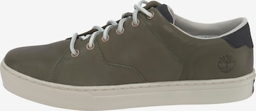 TIMBERLAND Sneakers in Green