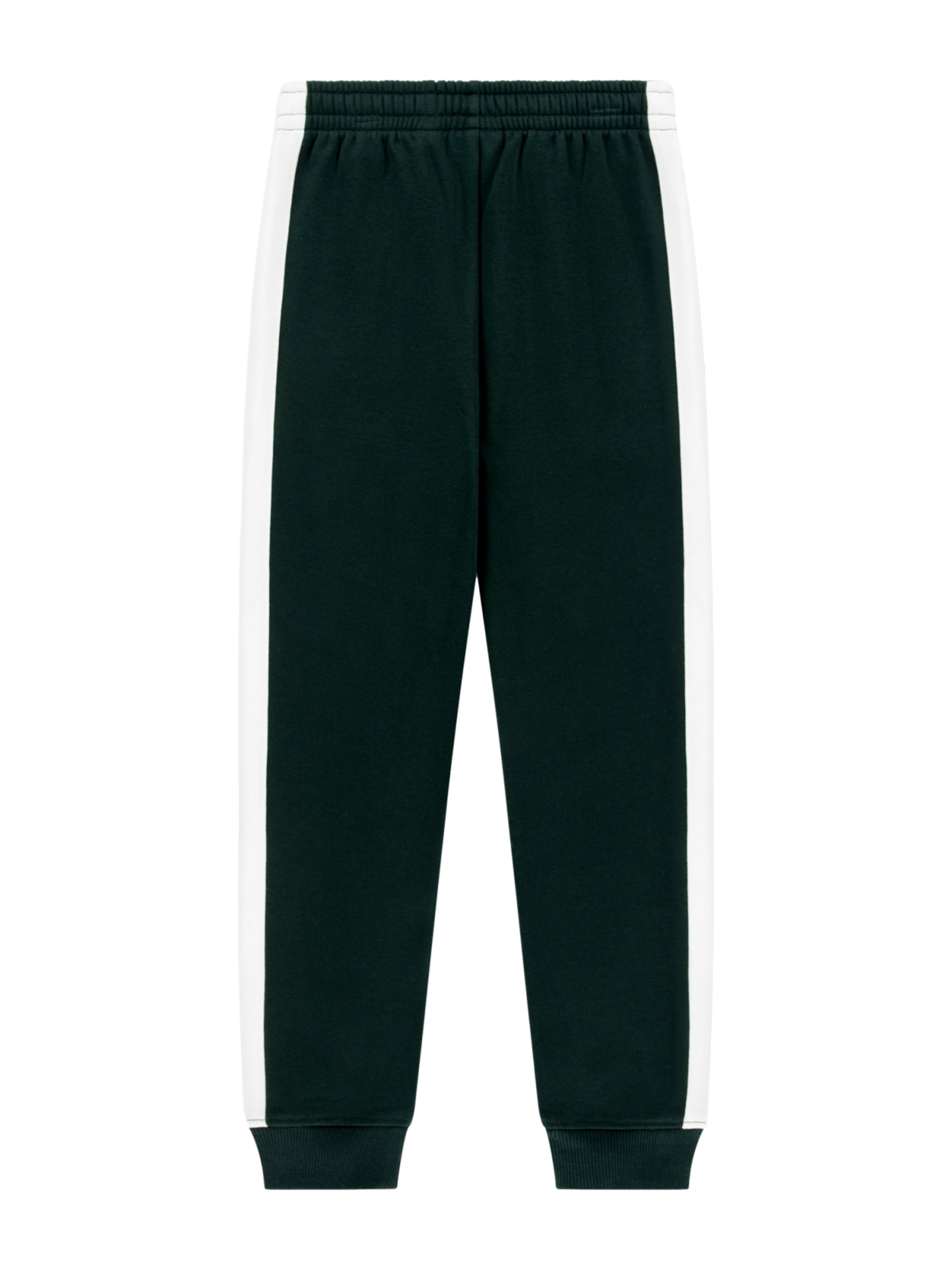 regular Pantaloni di LACOSTE in verde