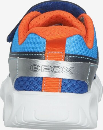 GEOX Sneakers in Blauw