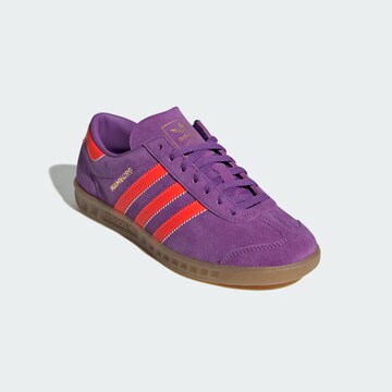 Baskets basses 'Hamburg' ADIDAS ORIGINALS en violet